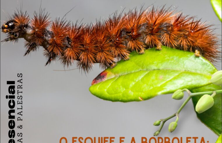 COLÓQUIO – O ESQUIFE E A BORBOLETA: A BIOPOIÉSIS DOS SEIS SENTIDOS NA LITERATURA