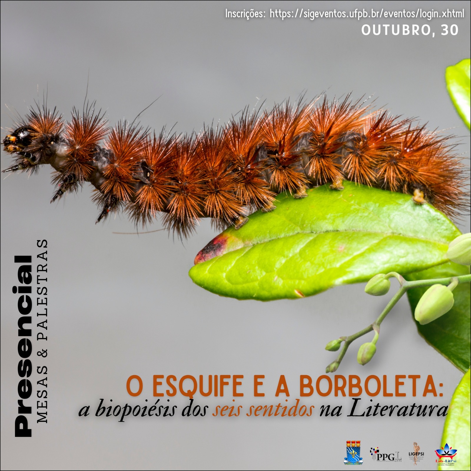 COLÓQUIO – O ESQUIFE E A BORBOLETA: A BIOPOIÉSIS DOS SEIS SENTIDOS NA LITERATURA
