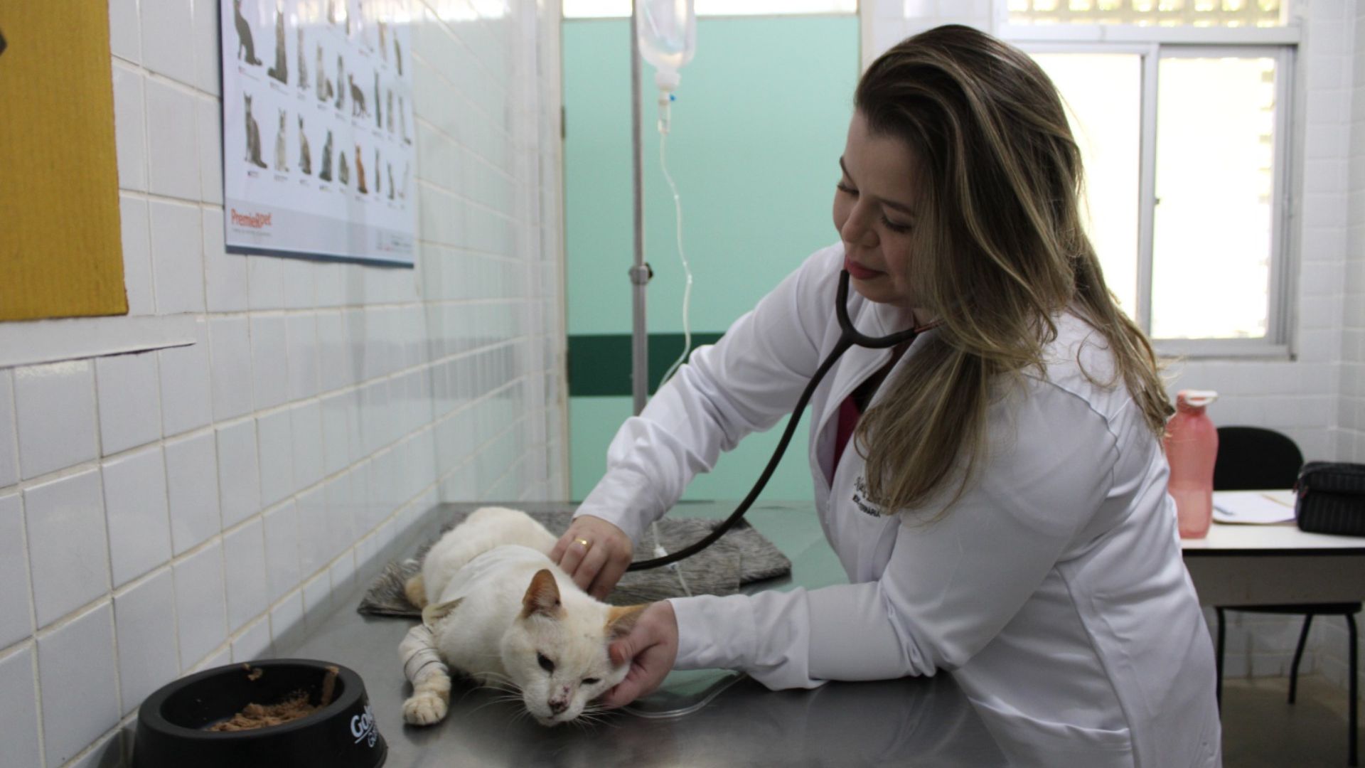 UFPB aprova resolução que cria o programa de residência integrado à pós-graduação