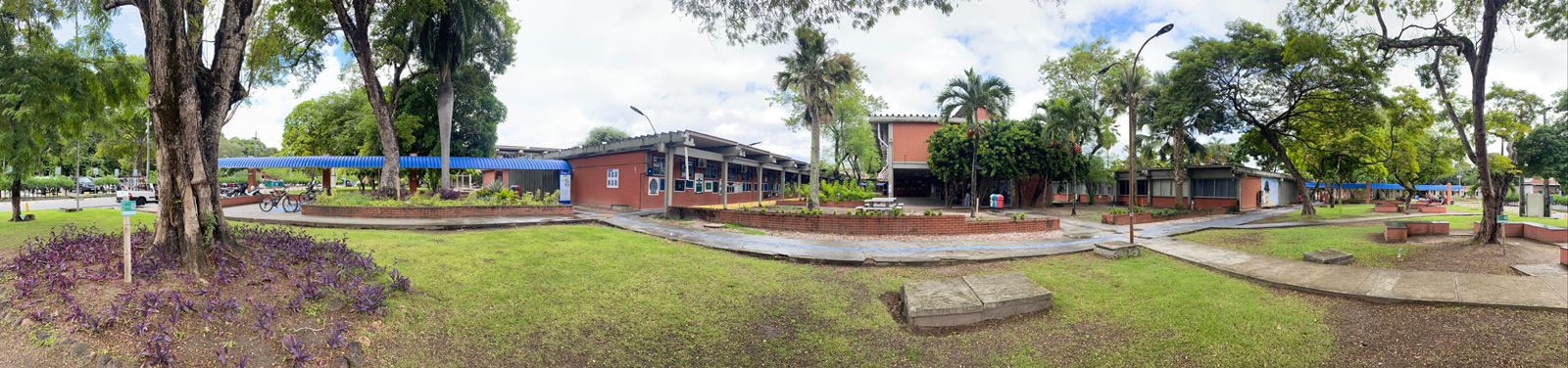 Imagem decorativa do site